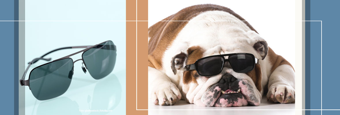 Typisch Mann: So wertvoll ist ein Schuh