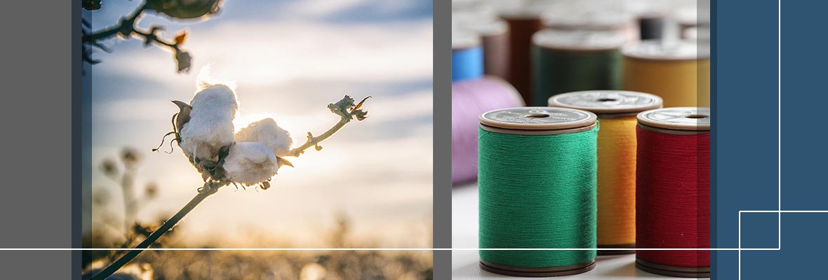 Typisch Mann: Online-Farbberatung